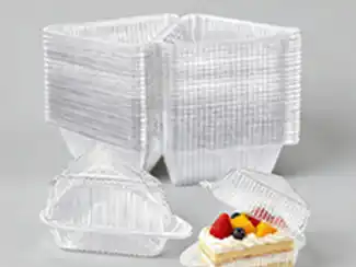 Cake Slice Container