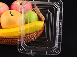 Clamshell Containers