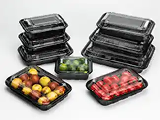 Food Trays with Lids