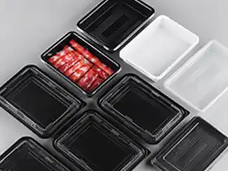 Frozen Food Tray