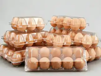 Egg Tray