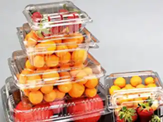 Fresh Produce Container